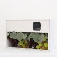 SOLAR STRING LIGHT-Solar 64 Umbrella Grape Lights photo-3