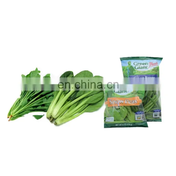 China Manufacturer Vegetable Horizontal Pillow Packaging Machine photo-3