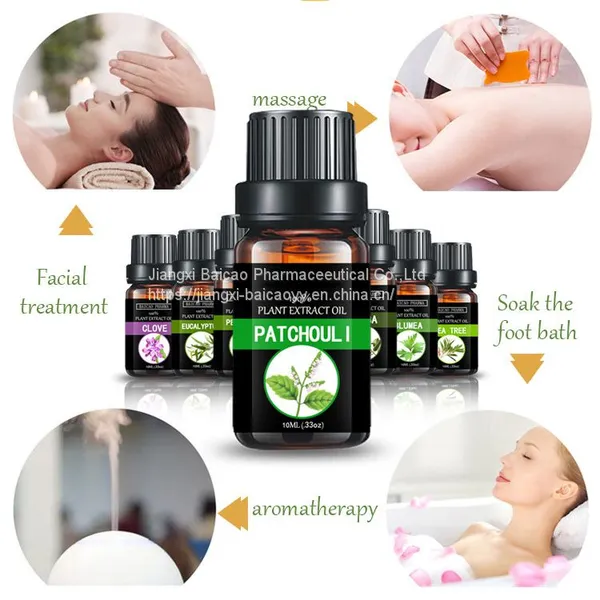 Food and Medicine Grade Patchouli Oil Chinese Medicinal Oil Plant Essential Oil Massage Oil photo-3