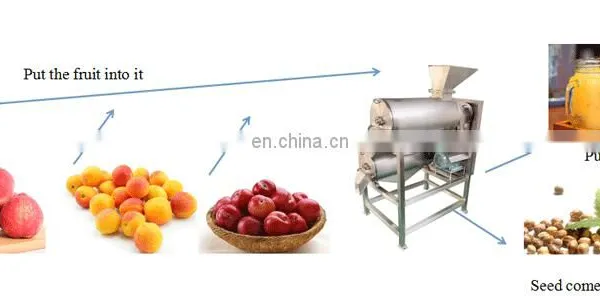 Electric Industrial Apple Peach Apricot Juicer Extractor Seeds Removing Pulp Machine photo-5
