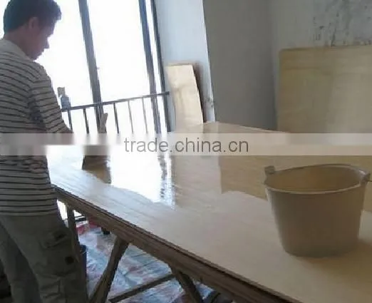 Made in China Acrylic Resin HMP3612