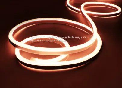 Neon Light Strip