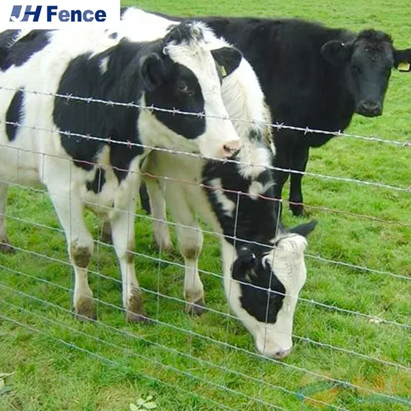 Goat Farming Cattle Fence Panel Field Wire Mesh ECO FRIENDLY photo-2