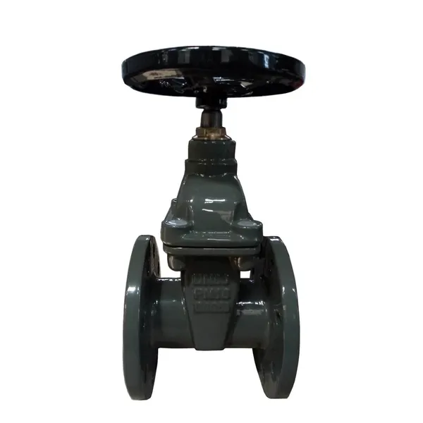 BS Rising Stem Resilient Seat Gate Valve Flanged End PN16 PN25