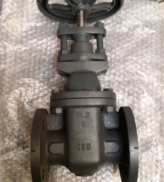 ANSI Rising Stem Gate Valve High Temperature Resistant Gate Valve for Oil & Gas photo-1