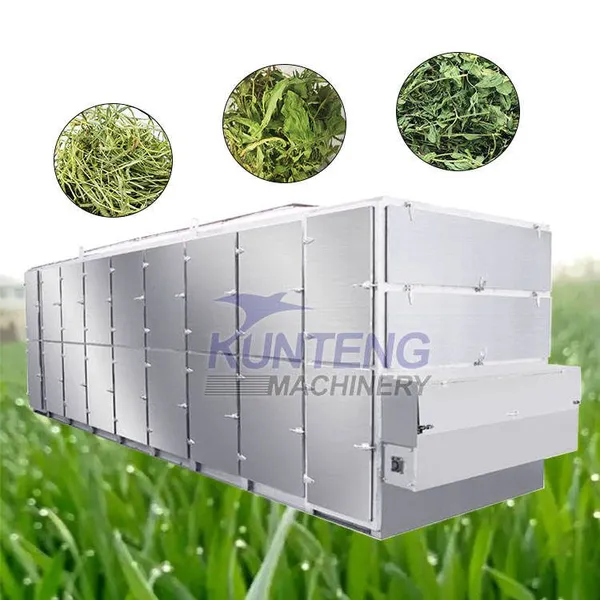 Continuous Belt Plant Pasture Dryer Multifunctional Large Batch Forage Grass Drying Machine Equipment EPC