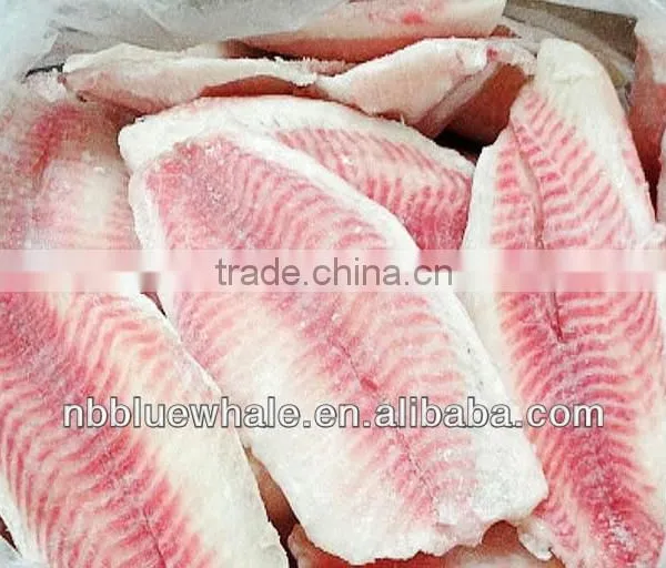 Black Tilapia Tilapia WR Whole Round