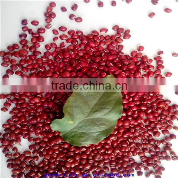 High Quality New Crop Azuki Beans photo-2