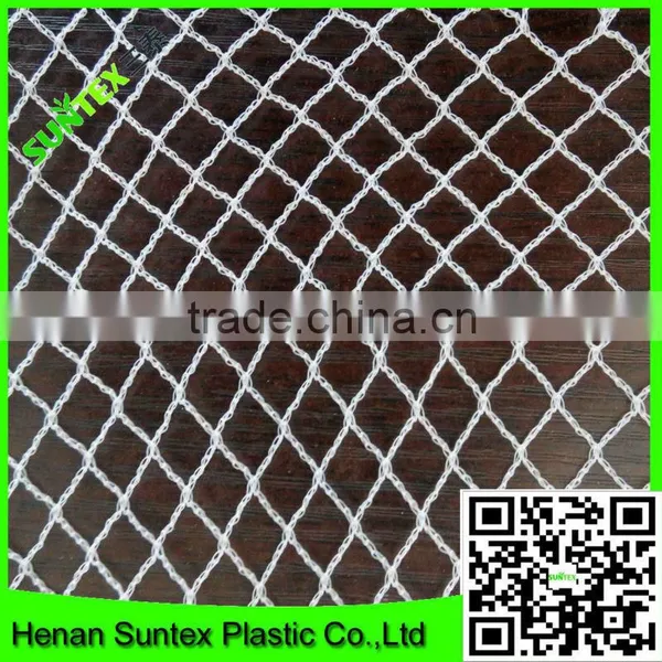 PE Plastic UV Treated Guard Hail Net for Grape Plantation photo-5