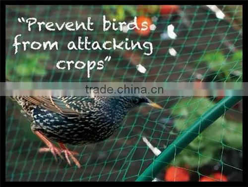 Square Bird Control Netting photo-2