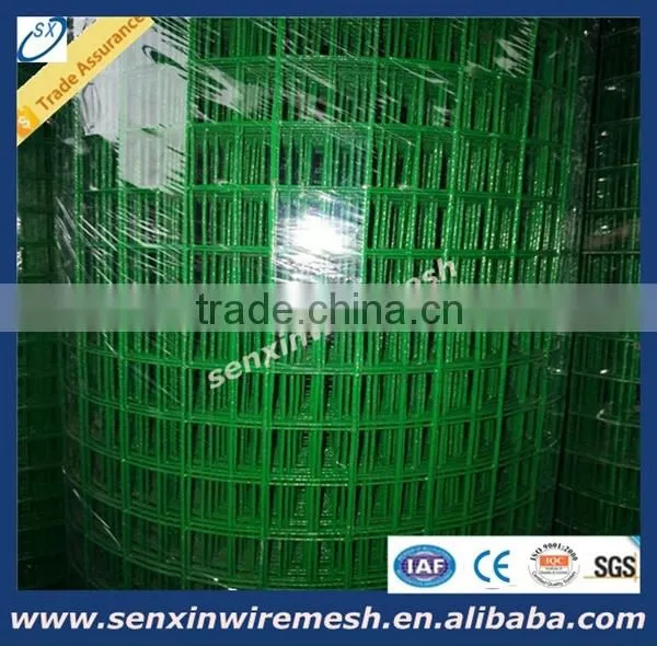 China Manufacturer Galvanized Welded Wire Mesh Panel or Roll , Pvc Coated Welded Wire Mesh photo-3