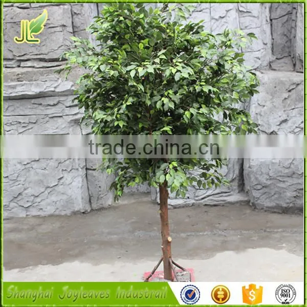 in Stock Real Wood Artificial Banyan Tree for Home Decor photo-2