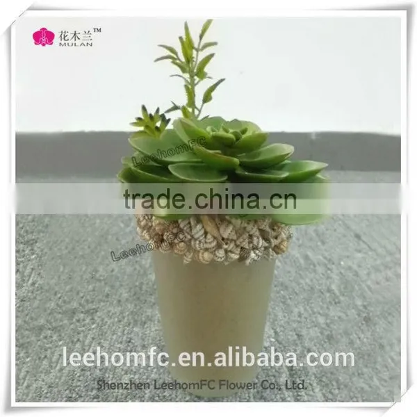 Artificial Succulent Plant