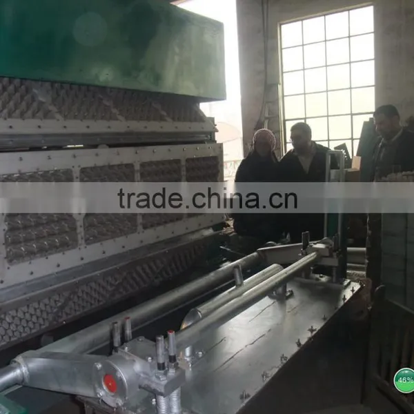 Egg Carton Machine photo-4
