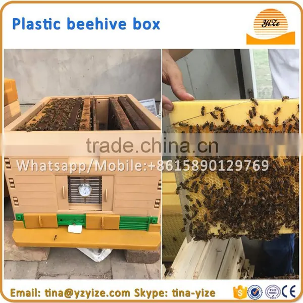 Plastic Hive , Beehive for Sale photo-3