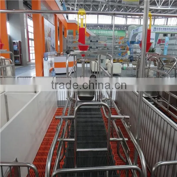 Pig Farming Equipment/pig Equipment for Piglet Feeder