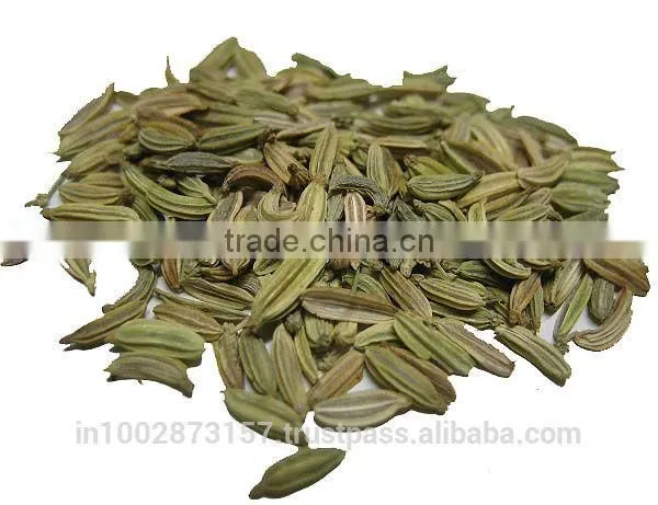 Fennel Seeds