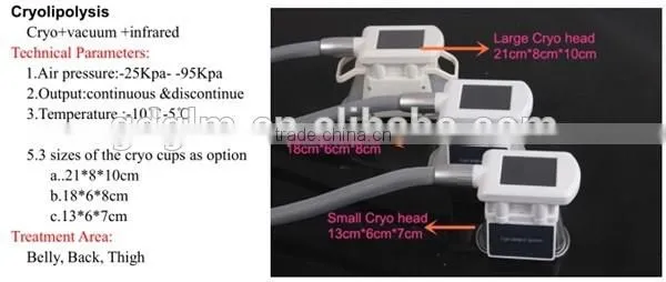 2016 GLM Top Design!Beauty Equipment--B-022A Criolipolisis Vacuum Roller(V9) EMS RF Beauty Machine With CE for Sale photo-6