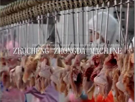 FULL SET OF CHICKEN SLAUGHTER MACHINE LINE FOR SLAUGHTERING HOUSE photo-2