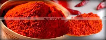 Indian Hot Chili Powder photo-3