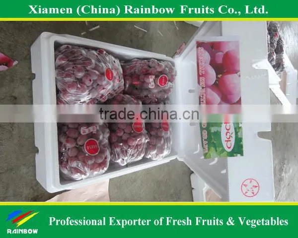 Fresh Sweet Red Grape for Export