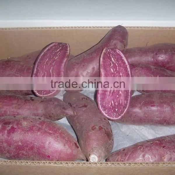 Fresh Sweet Purple Potato/red Skin Potato photo-5
