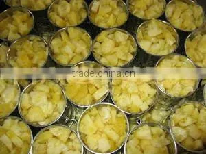 BEST SELLING VIETNAM CANNED PINEAPPLE CHUNKS / SLICES IN SYRUP (20oz/580ml and 30oz/850ml) photo-2