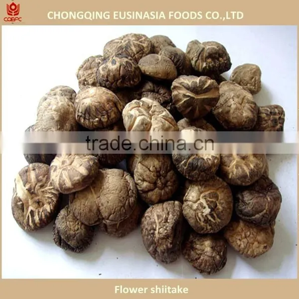 Dried Flower Mushroom, China Shiitake Mushroom photo-3
