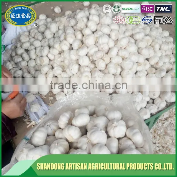 Fresh Normal White Garlic Pure White Garlic China Supplier photo-5
