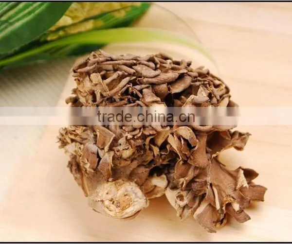 Best Selling Organic Dried Maitake Mushroom photo-3