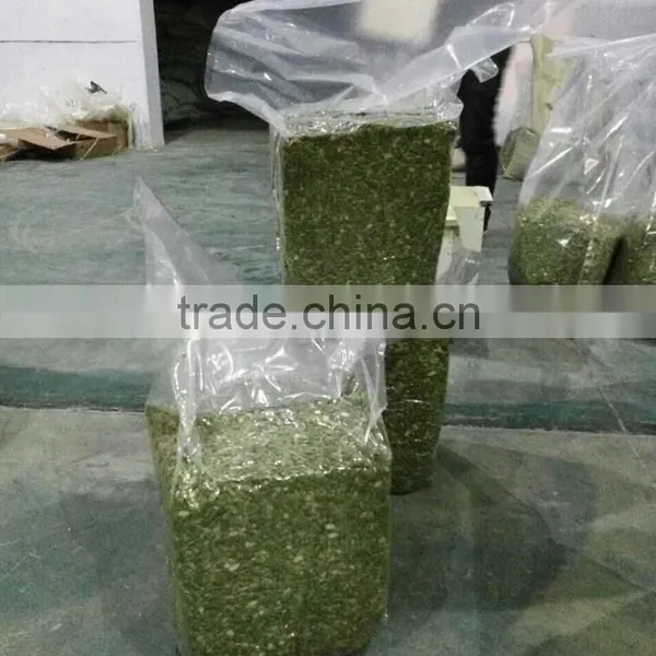 Inner Mogolia Pumpkin Kernels Grow Without Shell for US Market photo-6