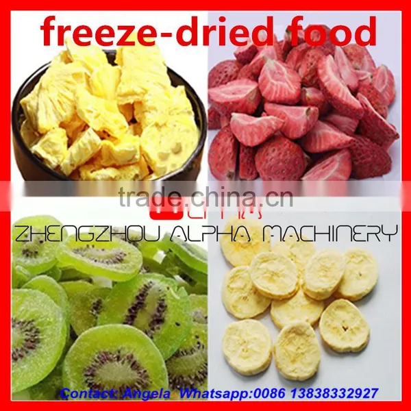 High Efficiency Freeze Dryer Price/Food Freeze Dryer Price/Fruit Drying Machine photo-5