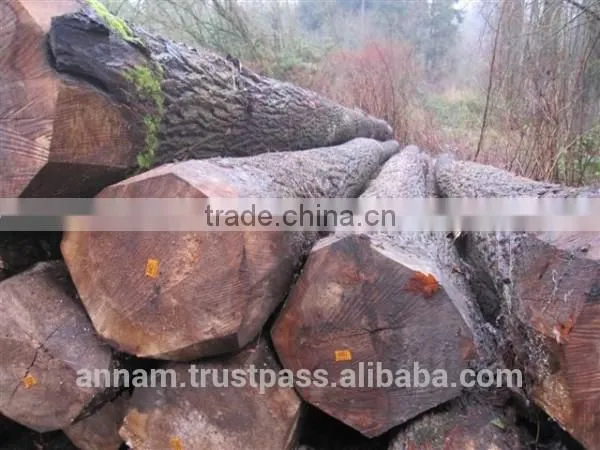 Pyincado Timber Flooring Timber photo-4