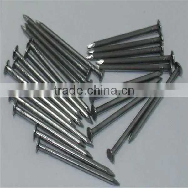 Painting Common Nail From Nail Factory