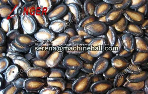 Sunflower Seeds Roasting Machine Line|Melon Seed Baking Machine photo-3
