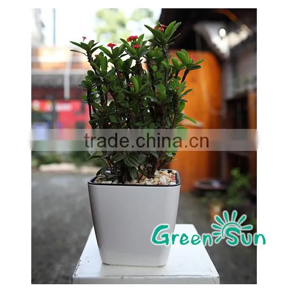 Bulk Sale Plastic Flower Pot Plastic Garden Pot photo-4
