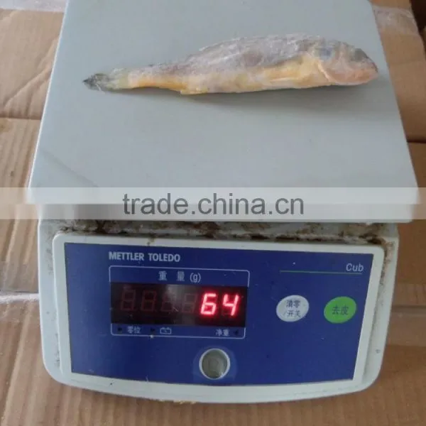 Frozen Fish Seafood Little Yellow Croaker photo-2