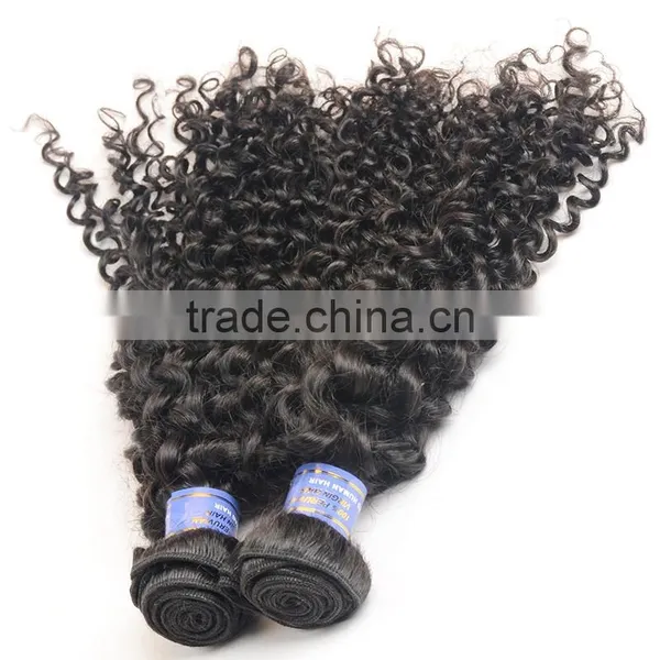 2016 New Products on China Market, Mongolian Virgin Hair, Mongolian Kinky Curly Hair photo-2
