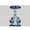 ANSI Globe Valve