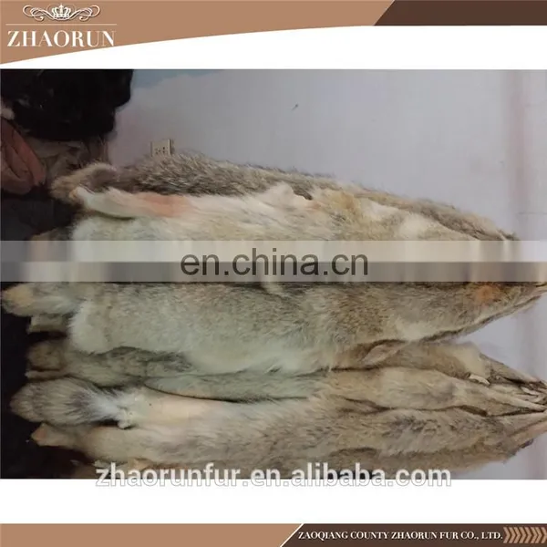 Whole Coyote Skin Coyote Fur for Garment photo-4