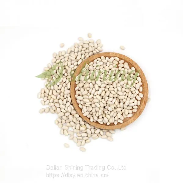 Japanese White Kidney Bean