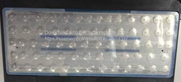 Mesh Dome photo-2