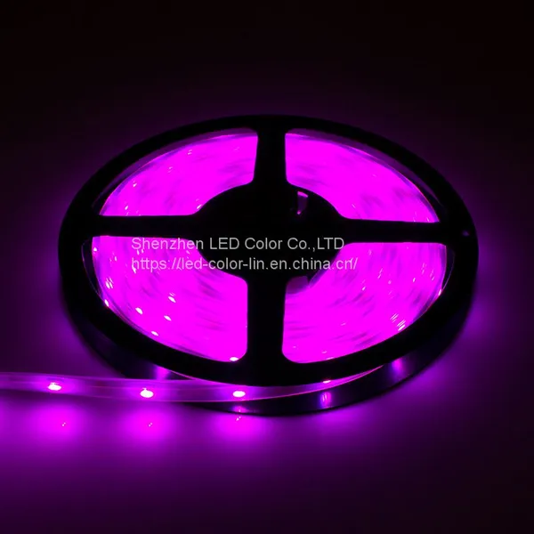 Factory Direct Sale High Quality Waterproof Led Digital Strip Light photo-3