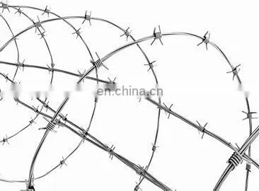 Hot Dipped Galvanized PVC Coated Razor Wire Fence photo-4
