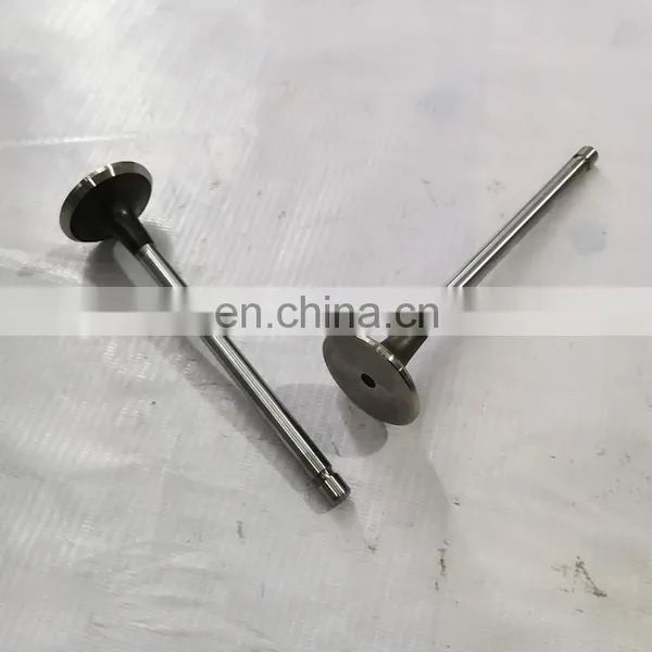 Exhaust Valve Engine Parts For Truck 4981795 On Sale photo-5