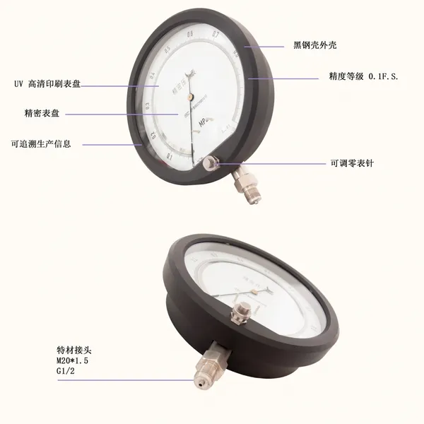 250MM 1.6Mpa 0.1FS Precision Precision Pressure Gauge photo-4