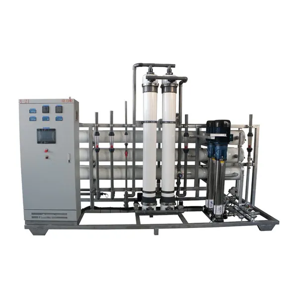 Customized Stainless Steel 10000LPH Containerized Seawater Desalination System Mobile RO Water Treatment Plant for Coastal Community