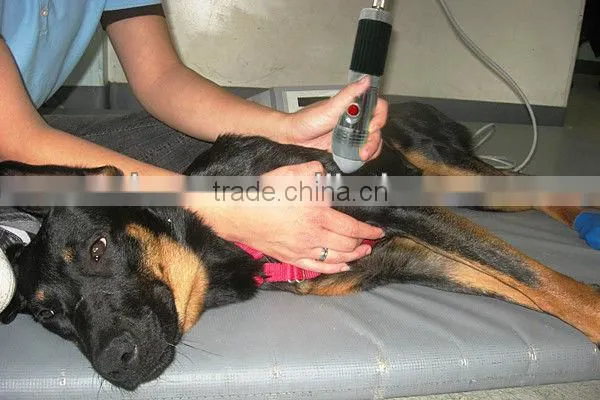 SN-902A Laser Veterinary Equipment photo-2