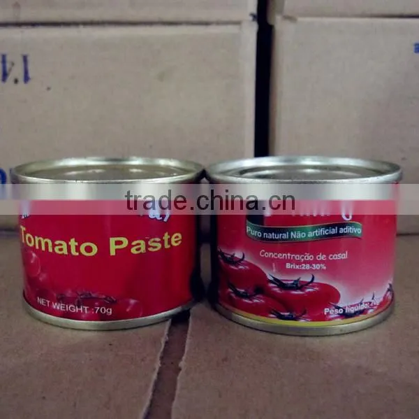 Supply 70g*50 & 70g*100 H/O Canned Tomato Paste photo-3