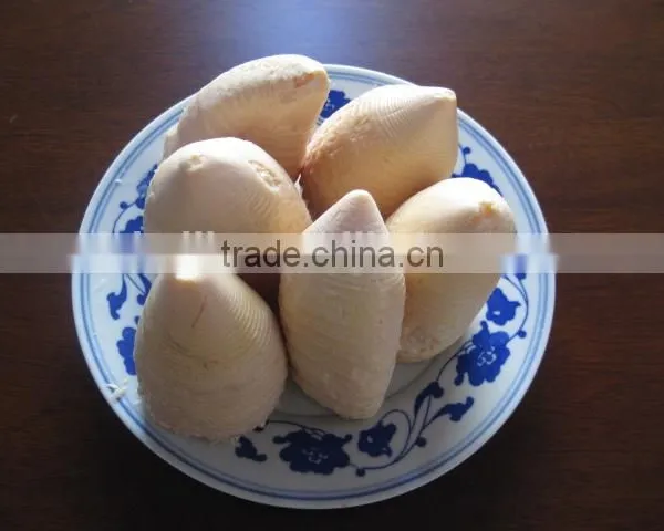 Tinned Bamboo Shoots in Whole Size 2950gram photo-3
